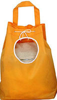 bolso